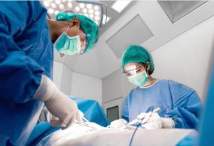 Procedure Steps